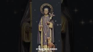 St Martin de Porres / വി. മാർട്ടിൻ ഡി പോറസ്