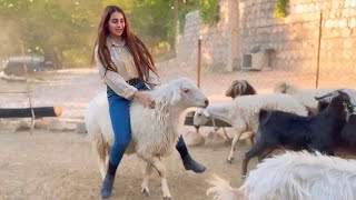 nomadic iranian🩷Riding sheep and milking goats#donkey #horserider #animals #fatima