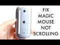 How To FIX Magic Mouse Not Scrolling! (2025)