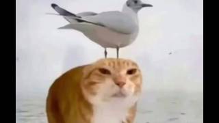 ㅤㅤㅤㅤBㅤㅤㅤㅤㅤㅤ
