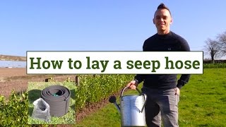 Garden irrigation guide - How to lay a seep hose