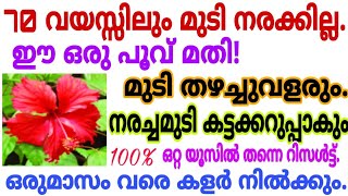 ഡൈ ചെയ്യേണ്ട ചെമ്പരത്തിപ്പൂവ് ഉണ്ടെങ്കിൽ ഏത് പ്രായത്തിലും നരച്ച മുടി ഒറ്റയൂസിൽ കറുപ്പിക്കാം|Hairdye