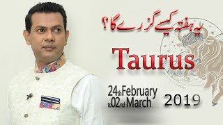 Taurus Weekly Horoscope from Sunday 24th February to Saturday 2nd March 2019