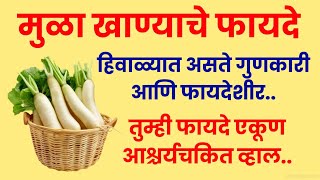 मुळा खाण्याचे फायदे | Benefits of Eating Radish In Marathi | Mula Khanyache Fayde In Marathi