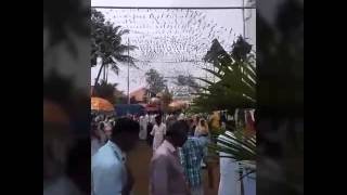 ചമ്പക്കുളം St mary's പള്ളി പെരുനാള്‍ 2015