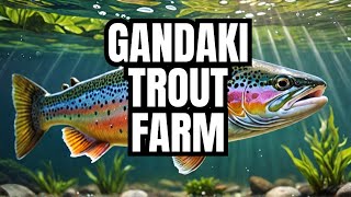 GANDAKI TROUT FARM || TROUT FARM |GANDAKI RAINBOW TROUT FARM