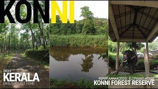 KONNI FOREST RESERVE: WHERE NATURE UNFOLDS in the LAP of WILDLIFE | KERALA | SOUTH INDIA ROAD TRIP