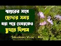 Flower & crops review || Asian rice || Sky flower || vlog- 46 || Srilekhas Vlog