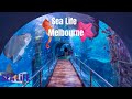 Sea life Melbourne Aquarium Tour | Top Melbourne Attractions |  2021 Australia