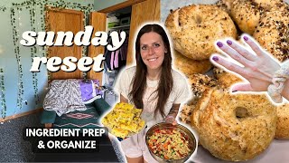 Sunday RESET | Ingredient/Meal Prep, Organize | Staying on Track With Weight Loss | Pasta Salad
