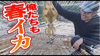 狙え春のアオリイカ！福岡糸島でエギングイカ釣り！