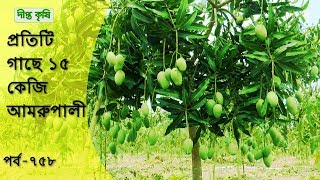 Deepto Krishi/দীপ্ত কৃষি- প্রতিটি গাছে ১৫ কেজি আমরুপালী  | টাঙ্গাইল | deepto tv