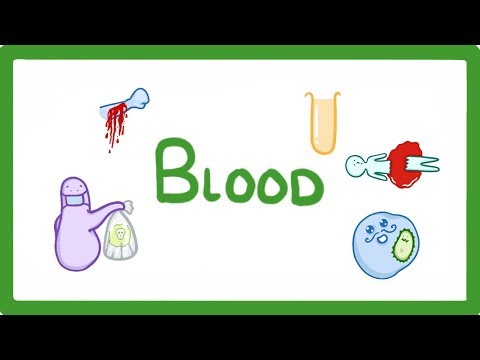 What is blood plasma mostly made of?