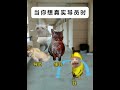 当你想真实导员时 有趣 故事 貓 猫meme 内容过于真实 猫meme小剧场 猫meme剧场 猫迷因 tiktok 喵不可言 shorts