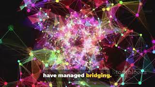 Bridging // Computer Networks (CMP)