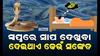 ସ୍ୱପ୍ନରେ ସାପ ଦେଖିବା ଦେଇଥାଏ କେଉଁ ସଙ୍କେତ || THE LEKHAKA