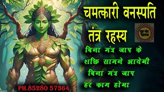 tantra sadhana in hindi वनस्पति तंत्र बिना मंत्र जाप के शक्ति को सिद्ध करें tantra sadhana in hindi