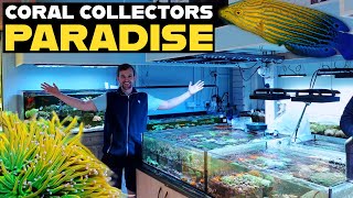 LONDON'S BEST SALTWATER AQUARIUM SHOP | FULL TOUR