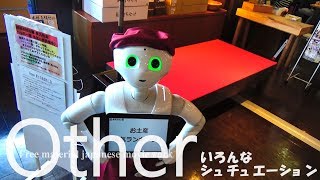 動画素材 無料 フリー その他 NO11 越前そばの里(福井県武生市) | free material japanese movie Other NO11 etizen