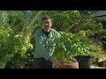 Gardeners World Eps 20 Full