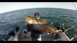 BIG KING SALMON ON LAKE ONTARIO!!