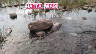 A Hidden Wadi in Hatta ! Hatta Wadi | Natural Water | UAE exploring places