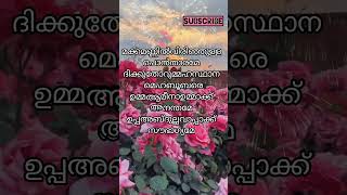 മക്കമണ്ണിൽവിരിഞ്ഞുള്ള.......🎶 റബീഉൽഅവ്വൽ  (1)💚#short/video#