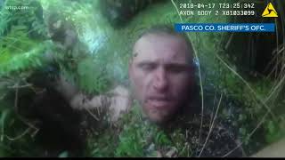 Pasco deputy's body cam captures video of k-9 capturing suspect hiding in swamp