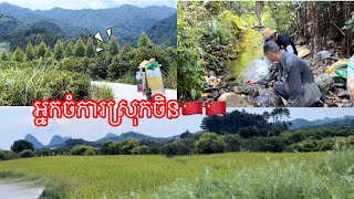 អ្នកចំការស្រុកចិន🇨🇳|kunbrsajeen