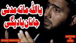 Ya Allah Mata Madani Janan Yadeegi | Pashto Naat 2023 | Urdu Naat Shrif | Pashto New Naat