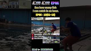 EP86-10 (01~16) 1小時14隻,另有大金目鱸拉爽爽!  #金目鱸 #海釣場 #大湖海釣場 #Barramundi #LatesCalcarifer #Fishing