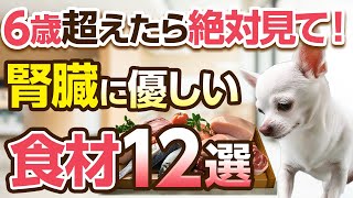 腎臓に優しい食材12選！効果的な食べさせ方から調理法まで詳しく解説