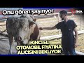 Kurbanlık Boğanın Fiyatı 2.El Araba İle Yarışıyor