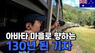 영화 아바타의 모티브가 된 열대우림을 향한 여정 - 호주 워홀 🇦🇺[13]