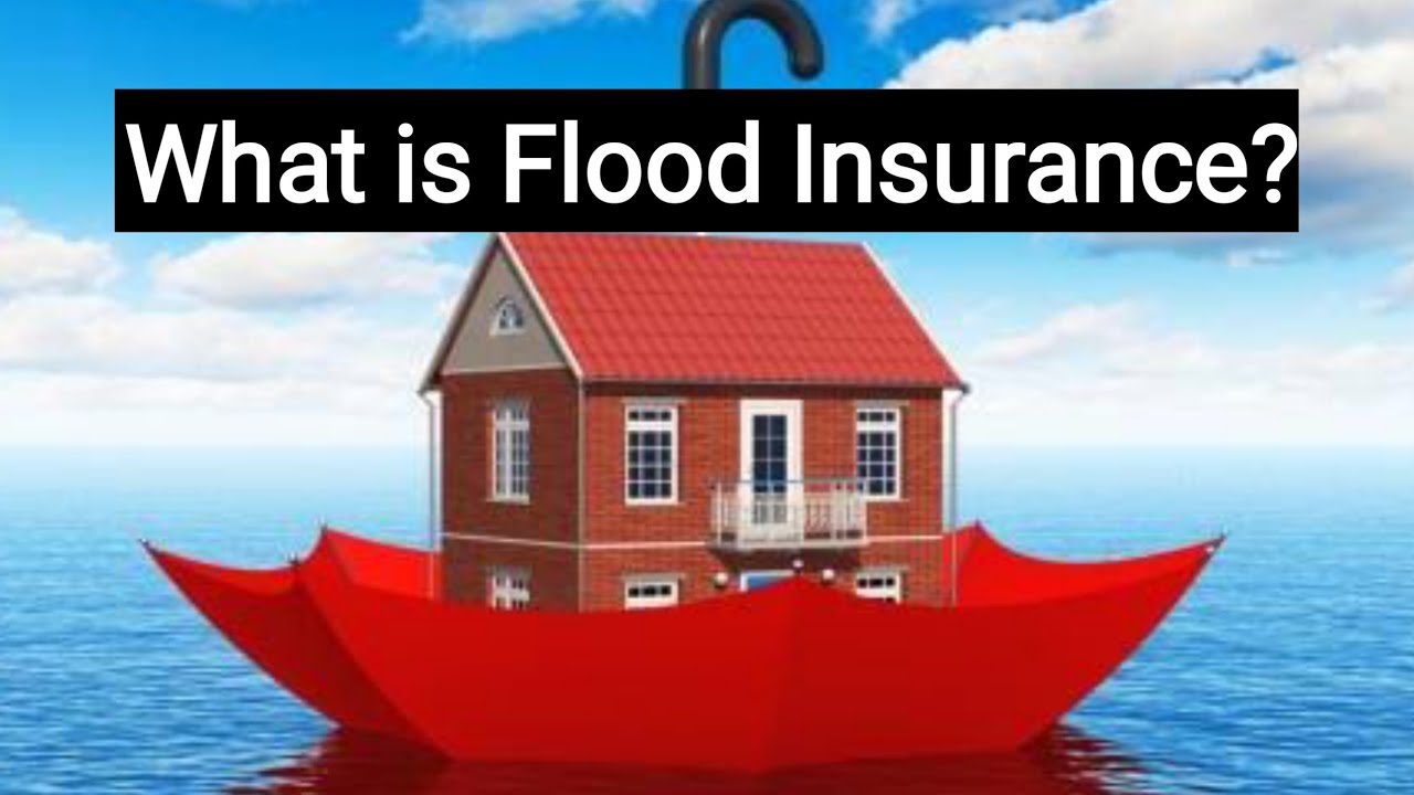 What Is Flood Insurance?Flood Insurance Explained - YouTube