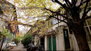 Paname, autour de Montparnasse