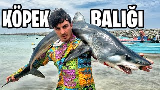 SHARK FISHING BATTLE in the OCEAN!!