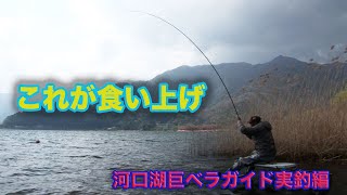 棚網久 河口湖巨ベラガイド実釣編　Giant Japanese crucian carp fishing guide in Lake Kawaguchi 〜How to fish〜 これが食い上げ