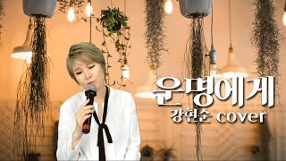 장윤정 - 운명에게 [강현순 cover]