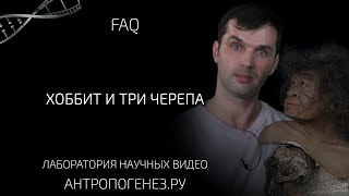 Хоббит и три черепа. Мифы об эволюции человека