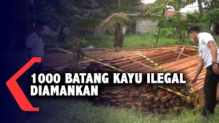 Ditpolairud Polda Kalbar Mengamankan 1.000 Batang Kayu Ilegal di Kubu Raya
