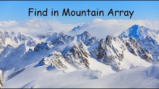 Find in Mountain Array - LeetCode 1095 - Python