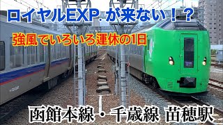 【同時進入】苗穂駅 高速通過集 JR北海道 函館本線 苗穂駅