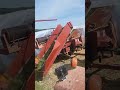 chopping hay and planting corn.  update videos eventually 🤞👍 #dairy #farmall #wisconsin