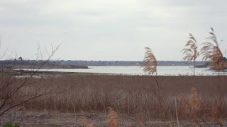 Lake Corpus Christi drops below 10% capacity for first time, city approves $1B in water projects