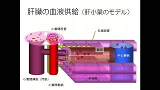 獣医臨床総論２　１回目―2