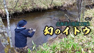 【幻のイトウを追う】北海道の湿原河川攻略（＃１）