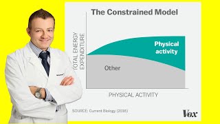 You Can't Outrun a Bad Diet: Constrained Model of Exercise
