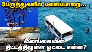 பேருந்துகளில் பவளப்பாறை... இலங்கையின் திட்டத்திலுள்ள ஓட்டை என்ன? | Is It True?