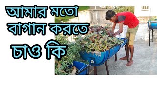 নিজের বাগানে  প্রচুর পরিমাণে সবজি হচ্ছে।